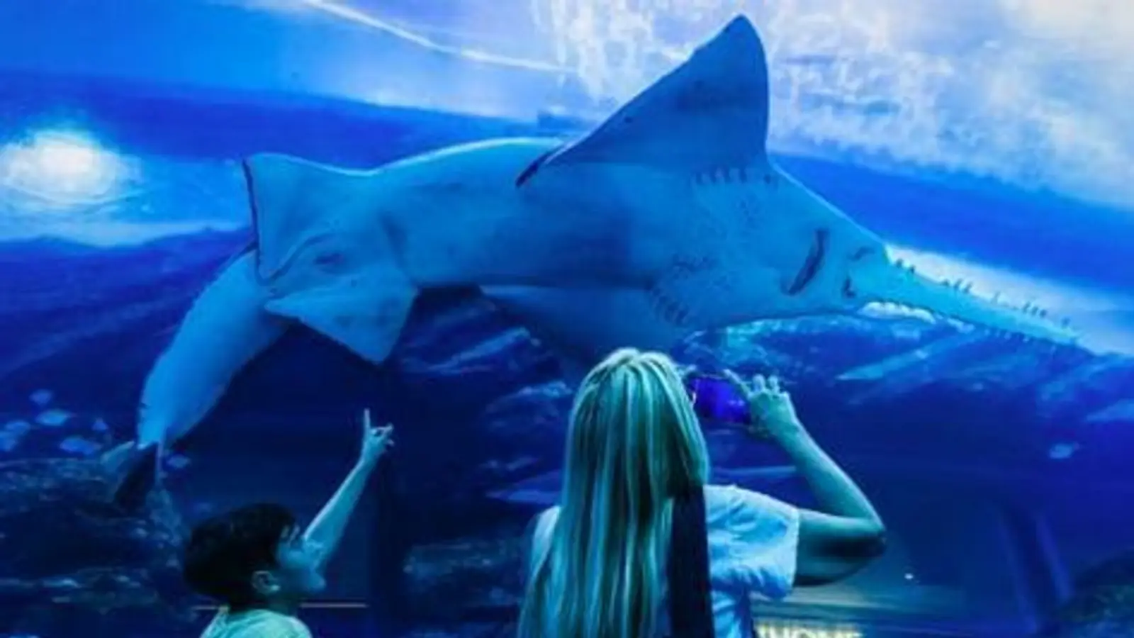 Burj Khalifa and Aquarium Tickets: One Combo from $87 — photo from the booking listing, Burj Khalifa, Dubai